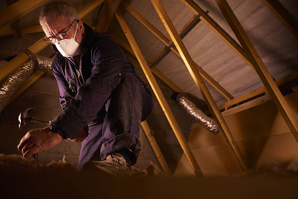Best Insulation Materials and Products in Cactus, TX
